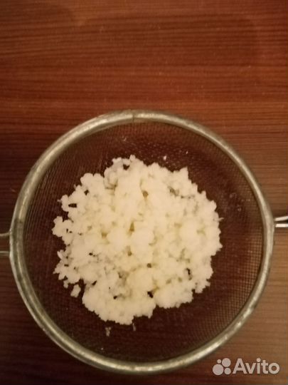 Тибетский (молочный) гриб