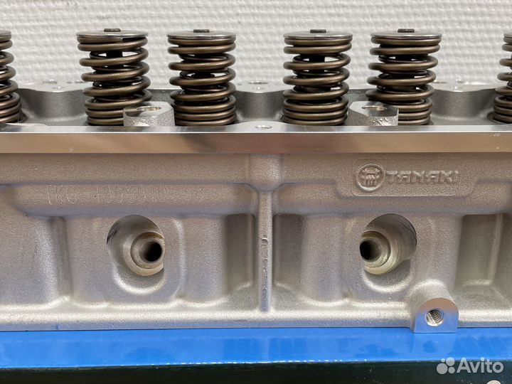 Головка блока Танаки Эвотек А274 под газ