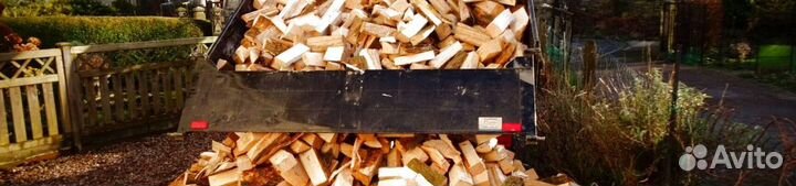 Дрова сегодня