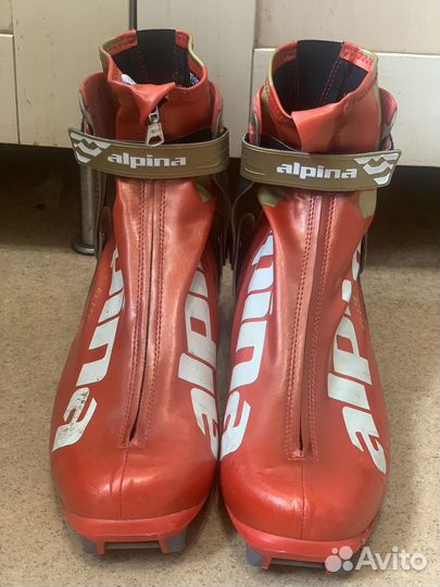 Лыжные ботинки alpina elite 46