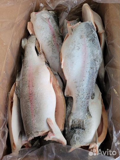 Красная икра,Форель,Индейка,Курица