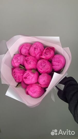 Пионы Букет пионов 7 11 15 19 21