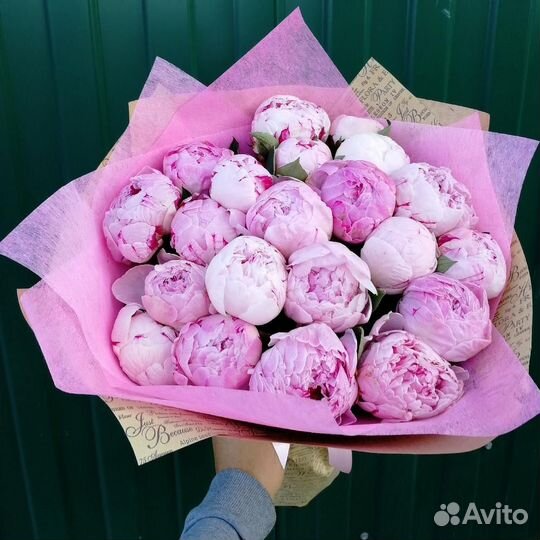 Цветы пионы