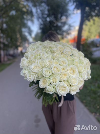 101 белая роза