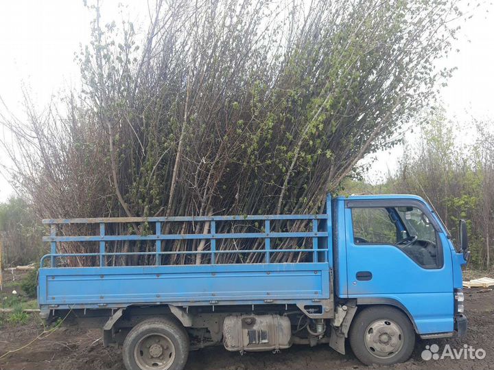 Вывоз мусора