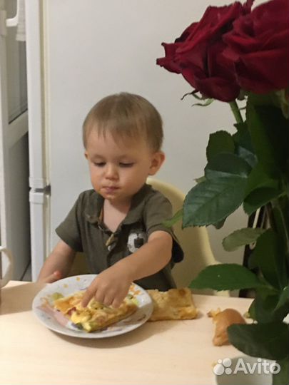 Няня бэйбиситтер