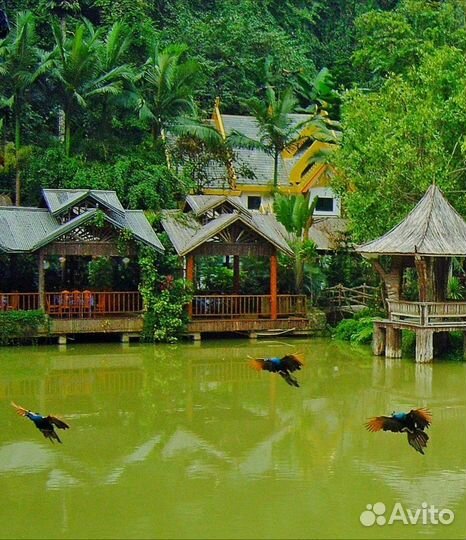 Компактный фотоаппарат samsung nv10 торг