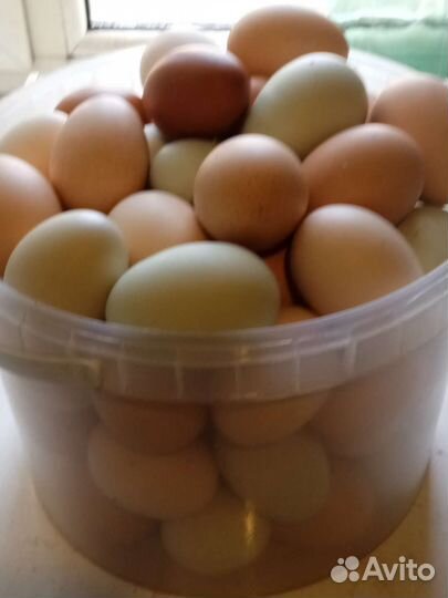 Яйцо домашнее с доставкой