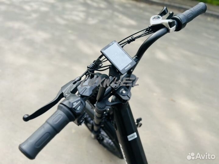 Электровелосипед Minako Bizon