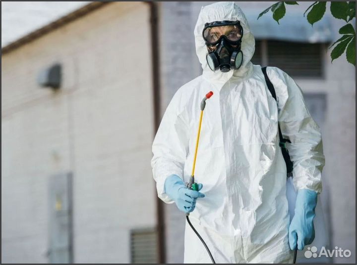 Уничтожение тараканов, клопов, блох, муравьев