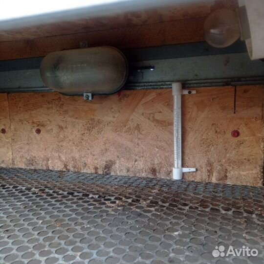 Брудер для цыплят