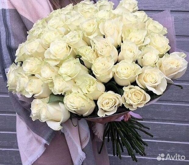 Высокие розы Гигантские розы с доставкой