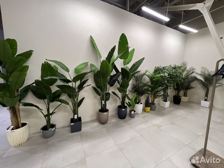 Искусственные растения в ассортименте