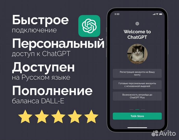 ChatGpt plus (чатгпт)