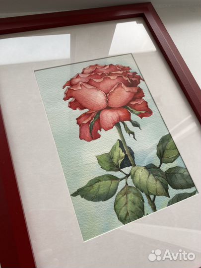 Картины, акварель: Роза; Пробежка; Лодка; Пальма;