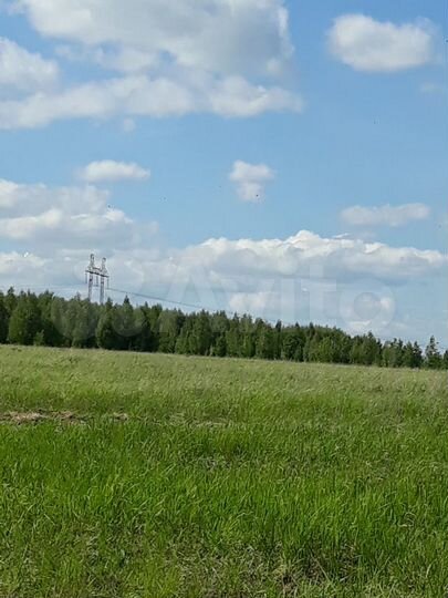 Участок 1,25 га (СНТ, ДНП)