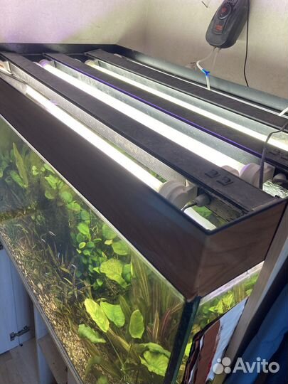 Аквариум с тумбой 300 литров