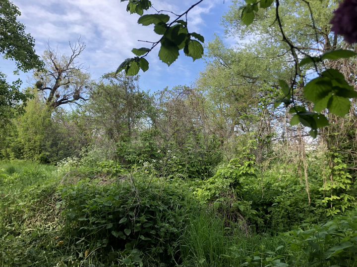 Участок 18,3 сот. (ИЖС)