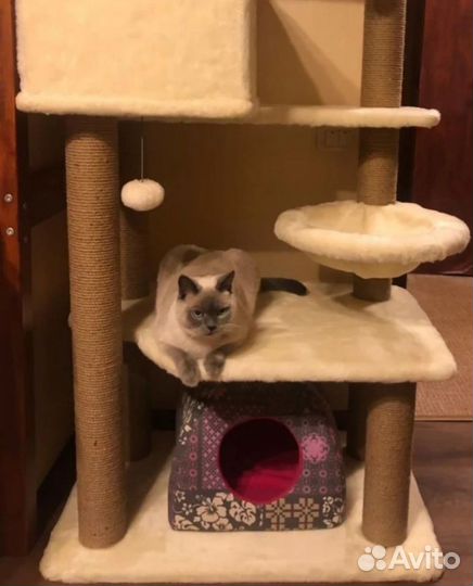 Комплекс для кошек