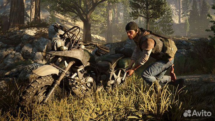 Игра Days Gone (Жизнь после) (PS4) Полностью Русск