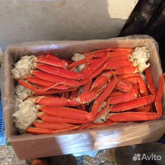 Краб Стригун