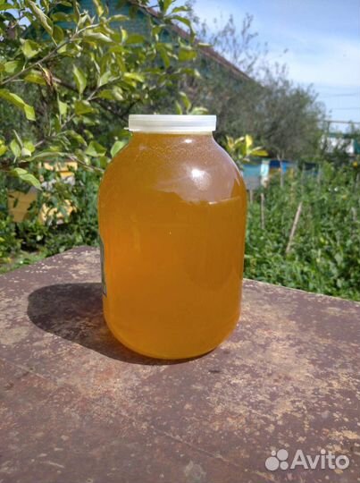 Мёд свежий 2023года