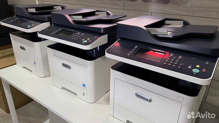 Мфу Xerox 3335