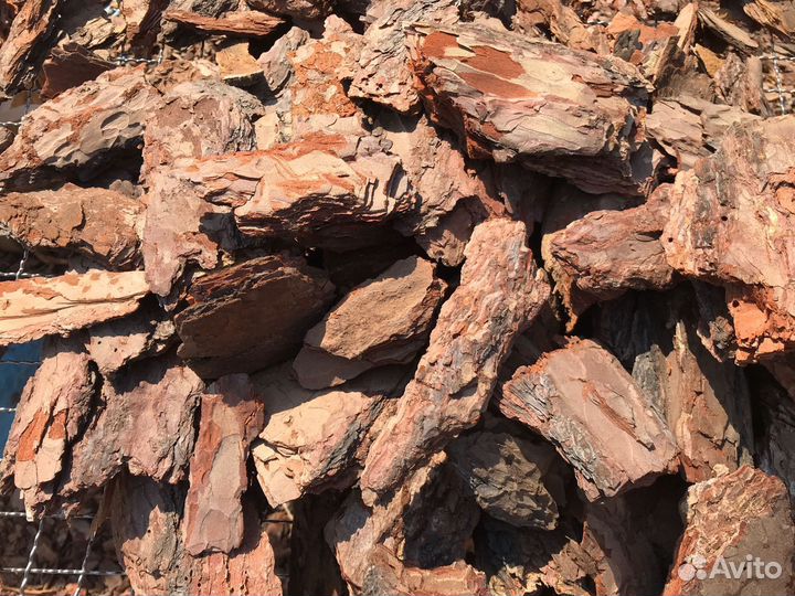 Кора сосновая