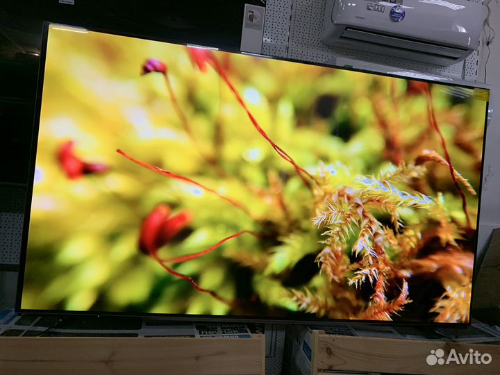 Oled, qled или LED телевизор - выбираем вместе