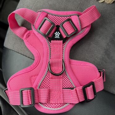 Шлейка для собак