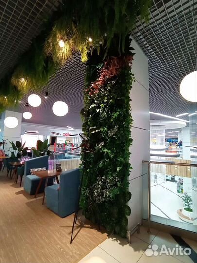 Вертикальное озеленение