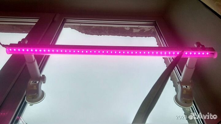 Фитолампа на присосках