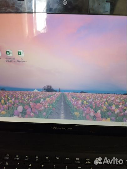 Ноутбук packard Bell