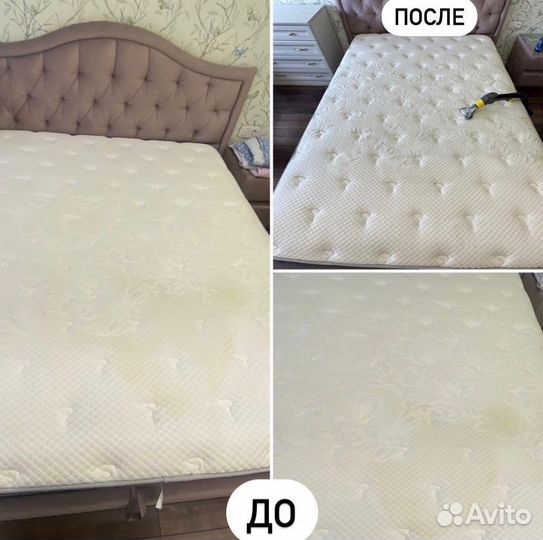 Аренда моющего пылесоса, пароочистителя