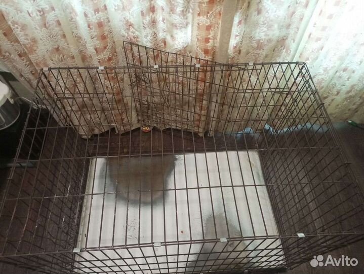 Клетка для собак