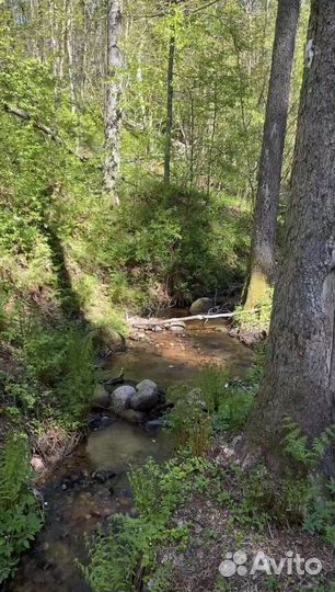 Родниковая вода