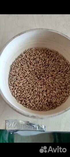 Мука цельнозерновая смолота на каменных жерновах