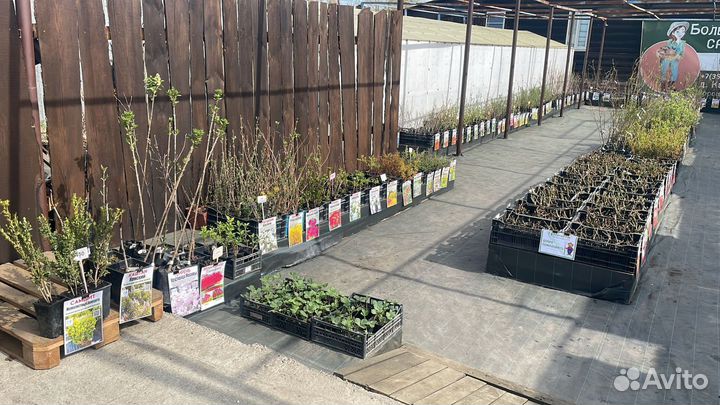 Филиала плодопитомника в г.Касли