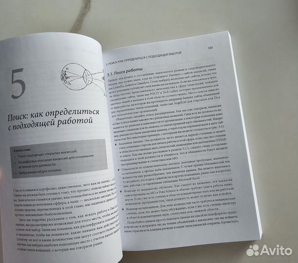 Data Science для карьериста Manning, анализ данных