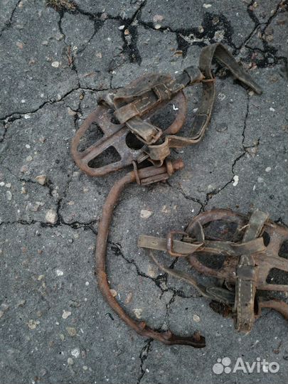 Кошки электрика