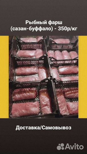 Рыбная продукция