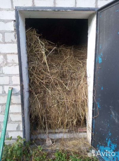 Сено луговое