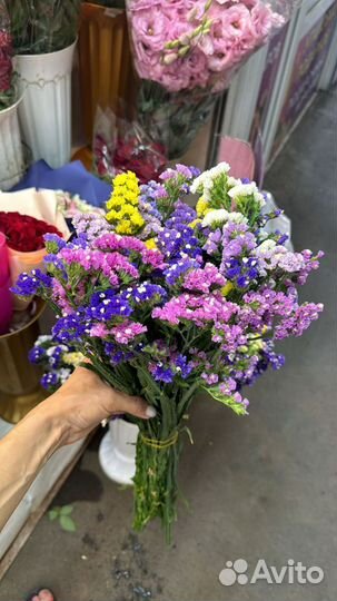 Статица букет