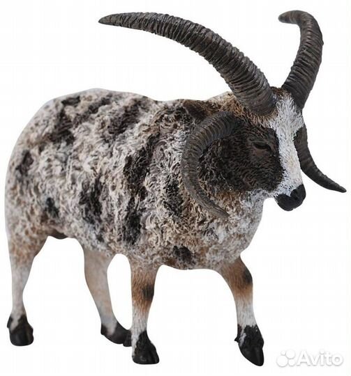 Овца четырехрогая (L), 88728b