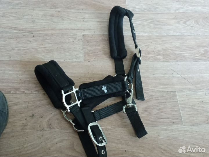 Недоуздка на пони-жеребенка