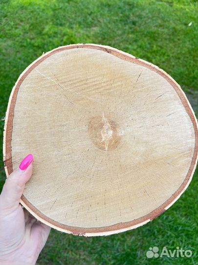 Спилы дерева