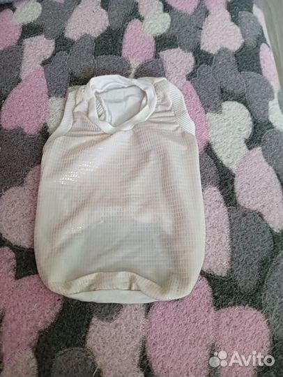 Одежда и обувь для собаки