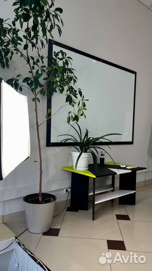 Конференц-зал, зал для мероприятий