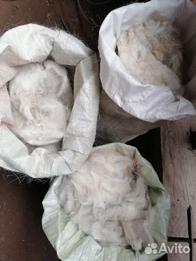 Пух козий белый