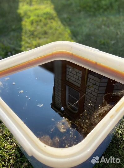 Мед Алтайское разнотравье оптом 2023